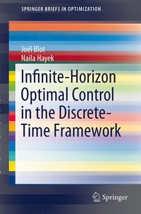 bokomslag Infinite-Horizon Optimal Control in the Discrete-Time Framework