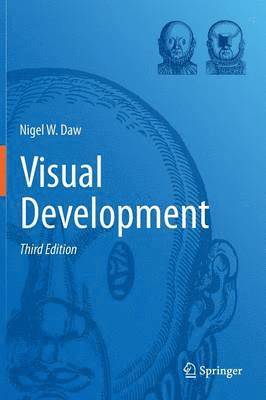 bokomslag Visual Development