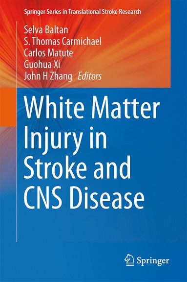 bokomslag White Matter Injury in Stroke and CNS Disease