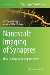 bokomslag Nanoscale Imaging of Synapses