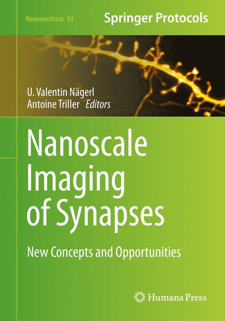 U. Valentin Nägerl, Antoine Triller, U. Valentin Nagerl, Valentin Nägerl - Nanoscale Imaging of Synapses, Inbunden