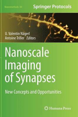 Nanoscale Imaging of Synapses 1