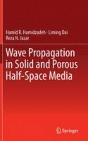 bokomslag Wave Propagation in Solid and Porous Half-Space Media