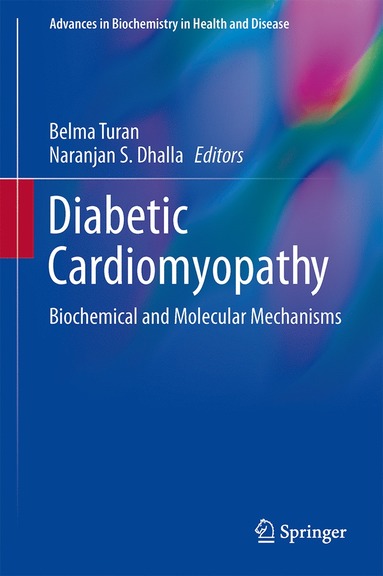 bokomslag Diabetic Cardiomyopathy