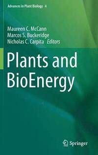 bokomslag Plants and BioEnergy
