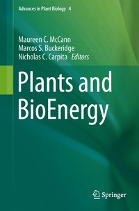 bokomslag Plants and BioEnergy