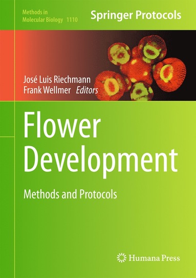 bokomslag Flower Development