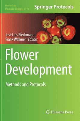 José Luis Riechmann, Frank Wellmer - Flower Development, Inbunden