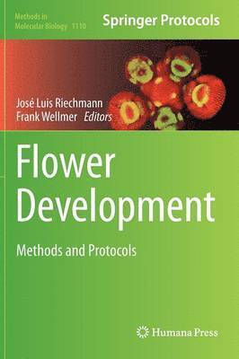 Flower Development 1