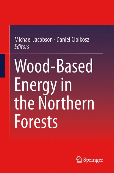 bokomslag Wood-Based Energy in the Northern Forests