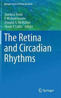 bokomslag The Retina and Circadian Rhythms