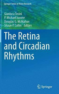 Retina and Circadian Rhythms