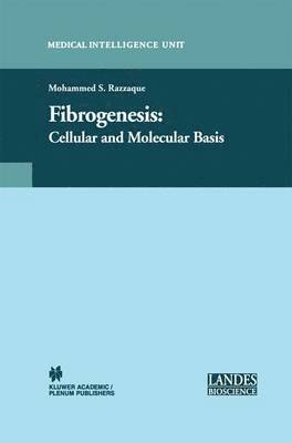 bokomslag Fibrogenesis