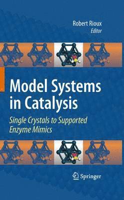 bokomslag Model Systems in Catalysis