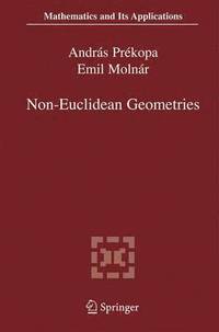 bokomslag Non-Euclidean Geometries