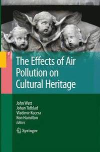 bokomslag The Effects of Air Pollution on Cultural Heritage