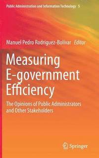 bokomslag Measuring E-government Efficiency