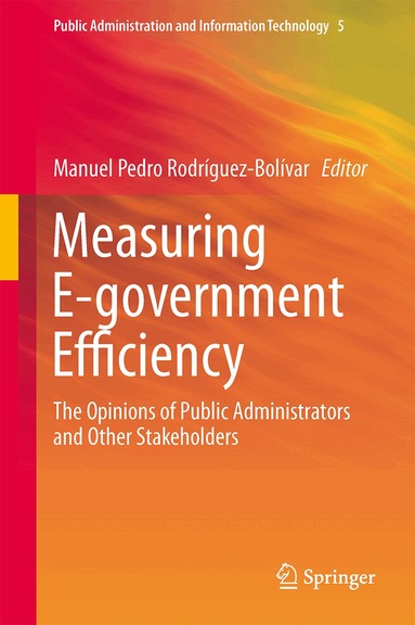 Manuel Pedro Rodríguez-Bolívar - Measuring E-government Efficiency, Inbunden