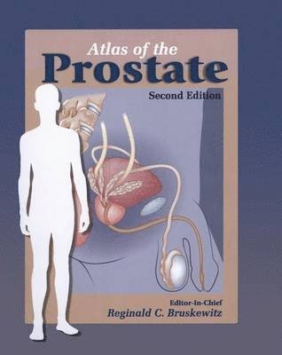 bokomslag Atlas of the Prostate