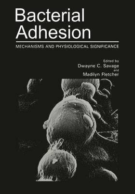 Bacterial Adhesion