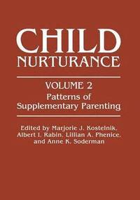 bokomslag Patterns of Supplementary Parenting