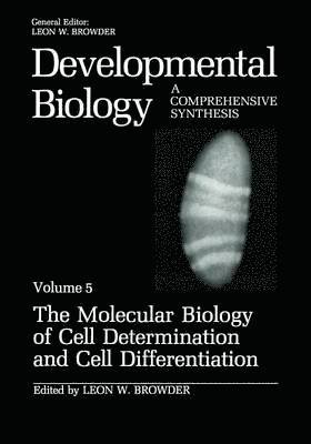 bokomslag Molecular Biology of Cell Determination and Cell Differentiation