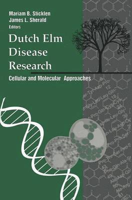 bokomslag Dutch Elm Disease Research
