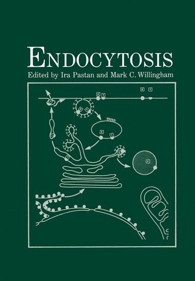 bokomslag Endocytosis