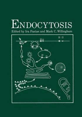 Endocytosis 1