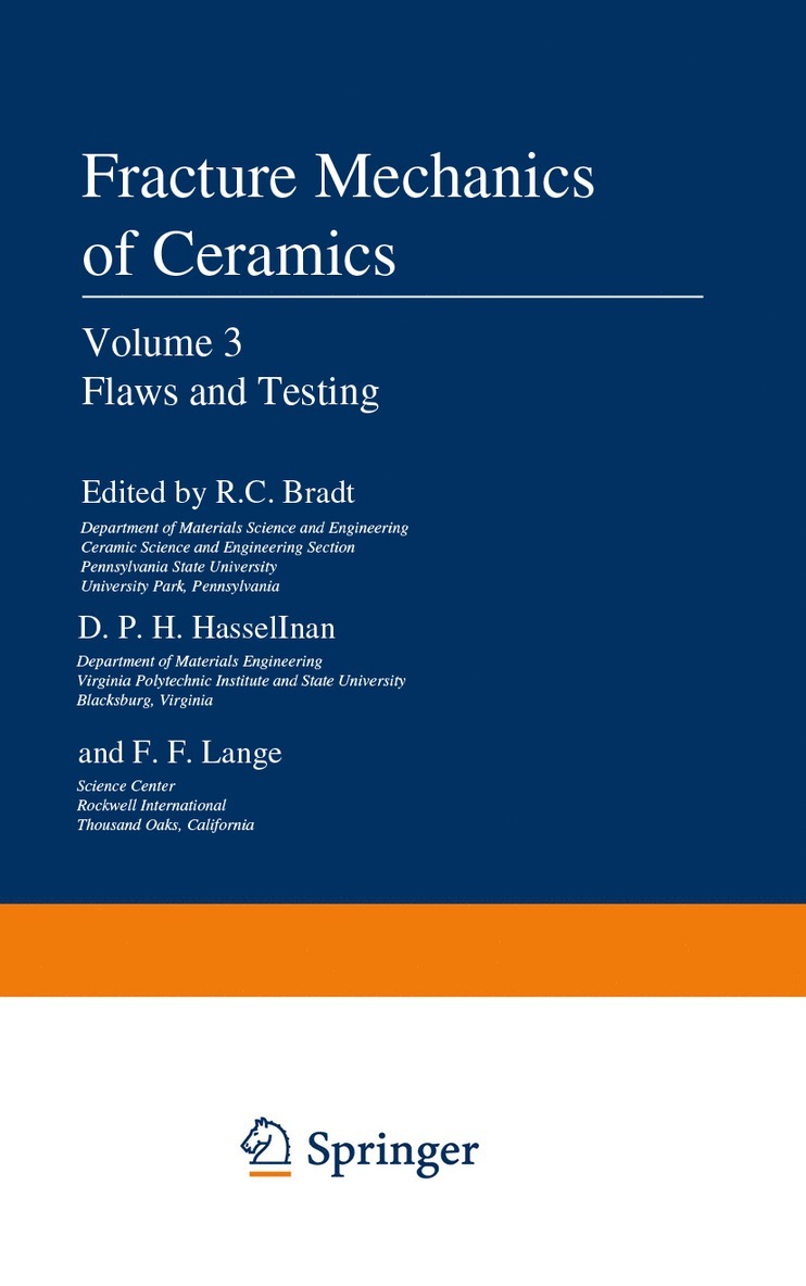 Flaws and Testing 1