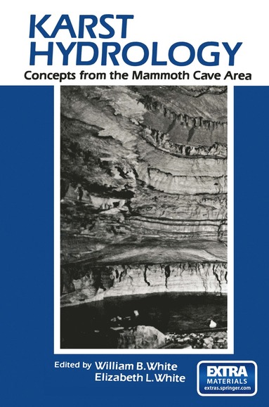 bokomslag Karst Hydrology