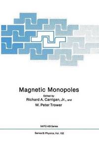 bokomslag Magnetic Monopoles