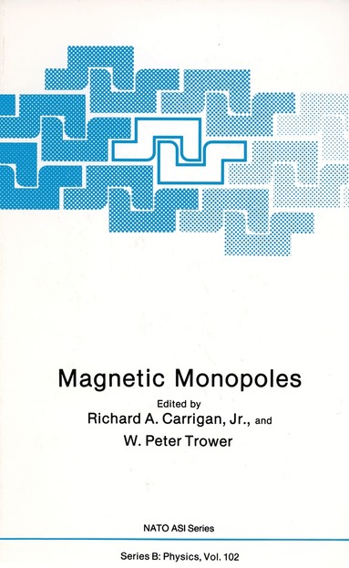 bokomslag Magnetic Monopoles