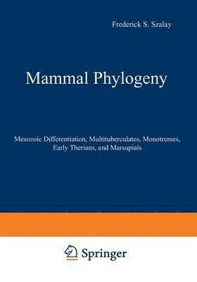 bokomslag Mammal Phylogeny