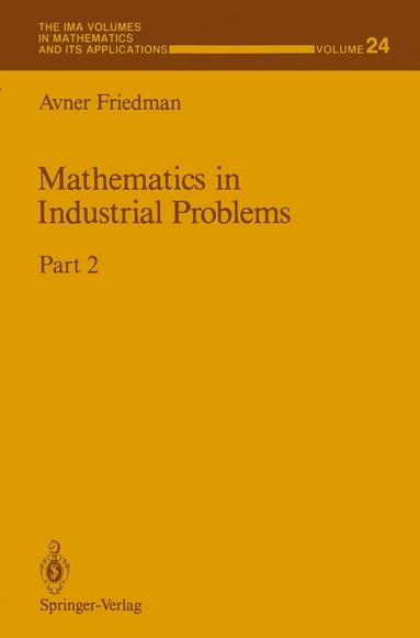 bokomslag Mathematics in Industrial Problems