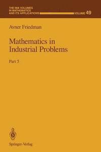 bokomslag Mathematics in Industrial Problems
