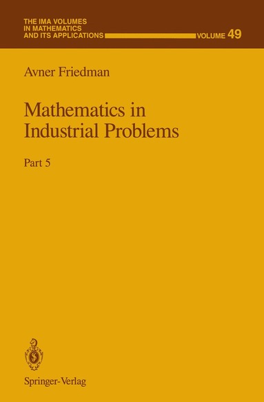 bokomslag Mathematics in Industrial Problems