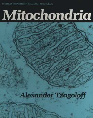 bokomslag Mitochondria