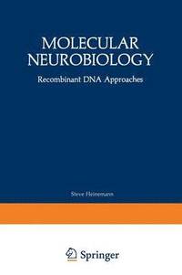 bokomslag Molecular Neurobiology