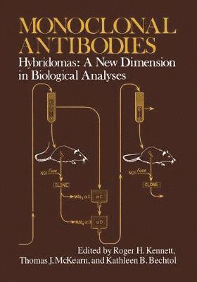 bokomslag Monoclonal Antibodies