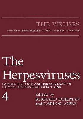 bokomslag The Herpesviruses