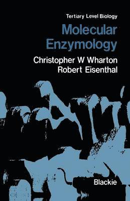 bokomslag Molecular Enzymology
