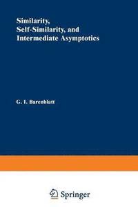 bokomslag Similarity, Self-Similarity, and Intermediate Asymptotics