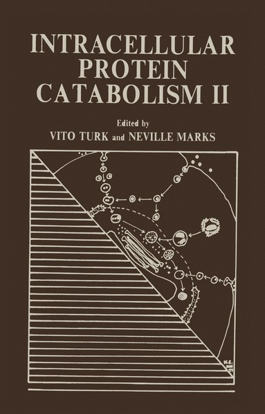 bokomslag Intracellular Protein Catabolism II