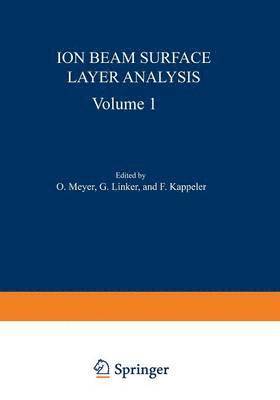 bokomslag Ion Beam Surface Layer Analysis