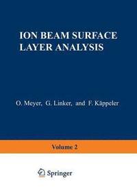 bokomslag Ion Beam Surface Layer Analysis