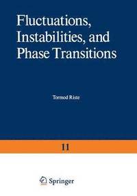 bokomslag Fluctuations, Instabilities, and Phase Transitions