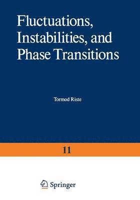 Fluctuations, Instabilities, and Phase Transitions 1