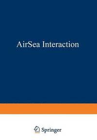 bokomslag Air-Sea Interaction
