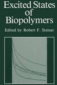 bokomslag Excited States of Biopolymers